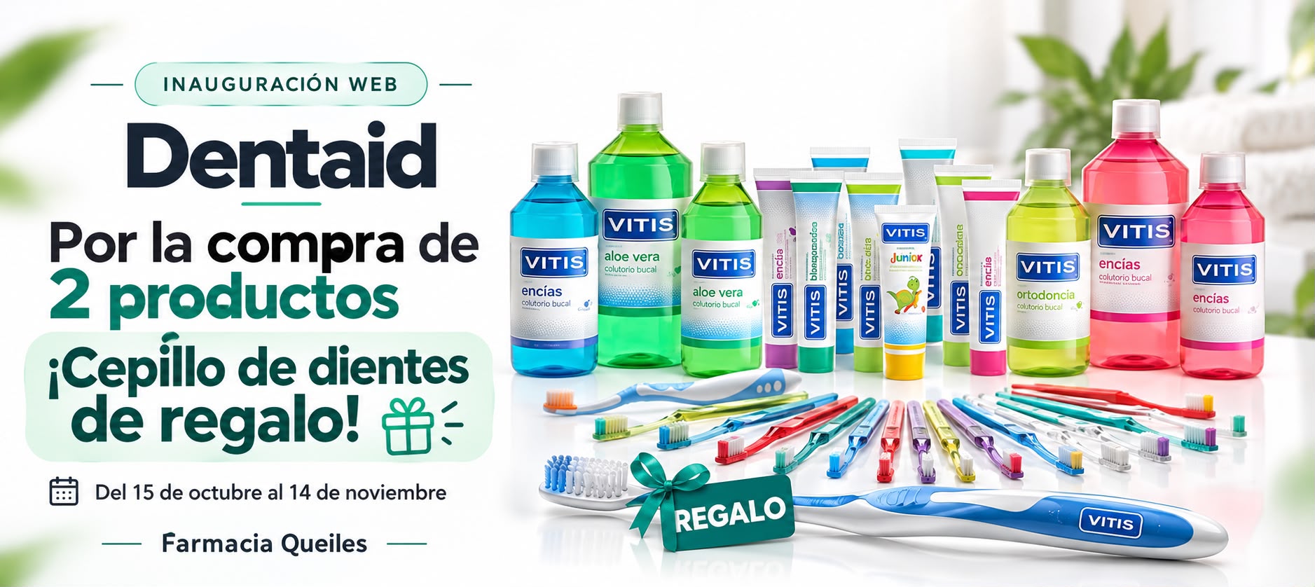 REGALO CEPILLOS VITIS